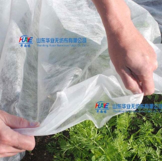 農(nóng)用無紡布