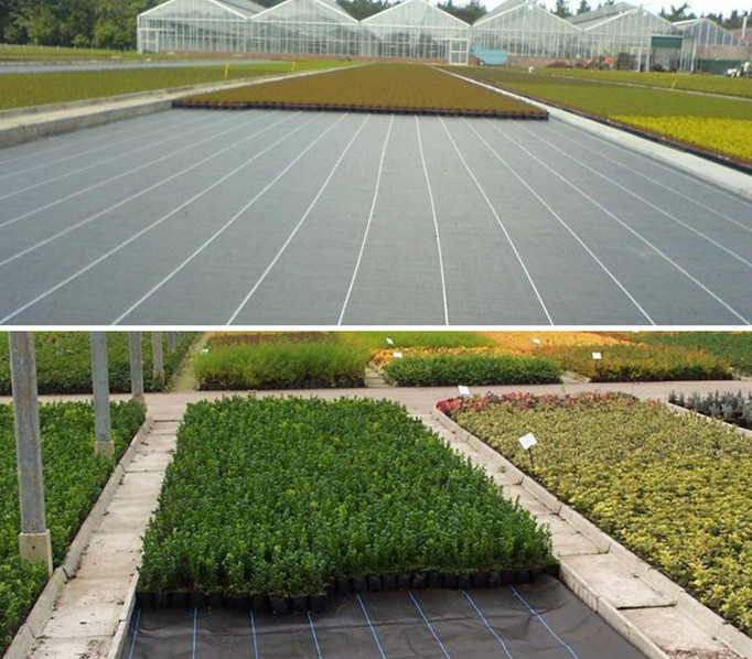 農(nóng)用無紡布